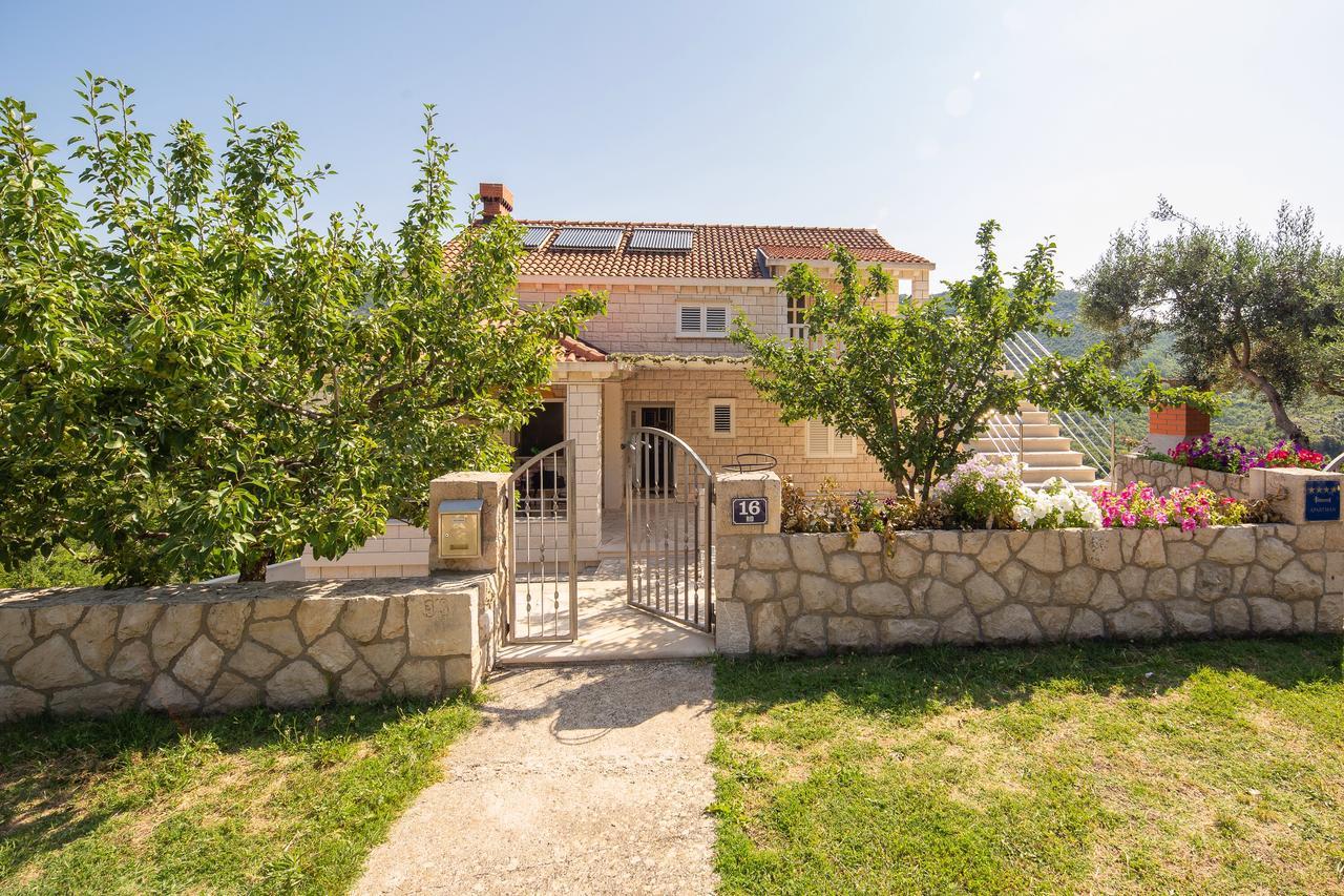 Green Paradise Apartments Mokošica Esterno foto